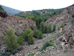 Grupo Mineralógico de Alicante. Cantera Barranco de la Mola. Sierra de Olta, Calpe. Alicante