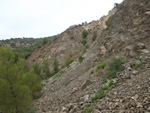 Grupo Mineralógico de Alicante. Cantera Barranco de la Mola. Sierra de Olta, Calpe. Alicante