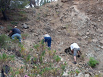 Grupo Mineralógico de Alicante. Cantera Barranco de la Mola. Sierra de Olta, Calpe. Alicante