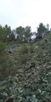 Grupo Mineralógico de Alicante. Cantera Barranco de la Mola. Sierra de Olta, Calpe. Alicante