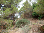 Grupo Mineralógico de Alicante. Cantera Barranco de la Mola. Sierra de Olta, Calpe. Alicante