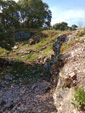 Grupo Mineralógico de Alicante. Pegmatitas. Cardeñosa. Ávila. Alicante