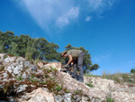 Grupo Mineralógico de Alicante. Pegmatitas. Cardeñosa. Ávila. Alicante