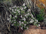 GMA. Cantera de Áridos de Holcin. Busot. Alicante