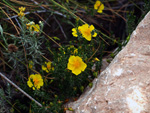 GMA. Cantera de Áridos de Holcin. Busot. Alicante