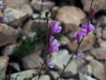 GMA. Cantera de Áridos de Holcin. Busot. Alicante