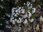 GMA. Cantera de Áridos de Holcin. Busot. Alicante