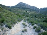 GMA. Cantera de Áridos de Holcin. Busot. Alicante