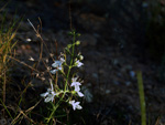 GMA. Cantera de Áridos de Holcin. Busot. Alicante