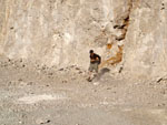  Cantera de Áridos de Holcin. Busot. Alicante