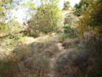 Grupo Mineralógico de Alicante. Cantera Barranco de la Mola. Sierra de Olta, Calpe. Alicante