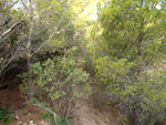 Grupo Mineralógico de Alicante. Cantera Barranco de la Mola. Sierra de Olta, Calpe. Alicante