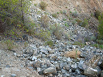 Grupo Mineralógico de Alicante. Cantera Barranco de la Mola. Sierra de Olta, Calpe. Alicante