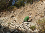 Grupo Mineralógico de Alicante. Cantera Barranco de la Mola. Sierra de Olta, Calpe. Alicante