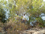 Grupo Mineralógico de Alicante. Cantera Barranco de la Mola. Sierra de Olta, Calpe. Alicante