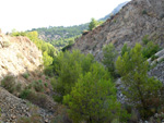 Grupo Mineralógico de Alicante.  Cantera Barranco de la Mola. Sierra de Olta, Calpe. Alicante 