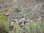 Grupo Mineralógico de Alicante.  Cantera Barranco de la Mola. Sierra de Olta, Calpe. Alicante 