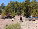 Punta Mariana. Enguidanos. cuenca