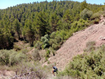 Punta Mariana. Enguidanos. cuenca