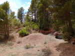 Punta Mariana. Enguidanos. cuenca