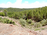 Punta Mariana. Enguidanos. cuenca