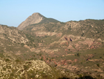 Grupo Mineralógico de Alicante. Camino de la Salmuera. Albatera. Alicante