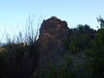 Grupo Mineralógico de Alicante. Camino de la Salmuera. Albatera. Alicante