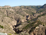   Camino de la Salmuera. Albatera. Alicante