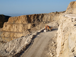 Grupo Mineralógico de Alicante.  Cantera de Áridos Holcin. Busot. Alicante 