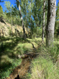 Barranco de la Tejera, Loma de la Cuna, Montalbán, Comarca Cuencas Mineras, Teruel