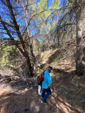 Barranco de la Tejera, Loma de la Cuna, Montalbán, Comarca Cuencas Mineras, Teruel