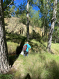 Barranco de la Tejera, Loma de la Cuna, Montalbán, Comarca Cuencas Mineras, Teruel