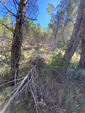 Barranco de la Tejera, Loma de la Cuna, Montalbán, Comarca Cuencas Mineras, Teruel