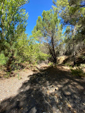 Barranco de la Tejera, Loma de la Cuna, Montalbán, Comarca Cuencas Mineras, Teruel