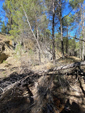 Barranco de la Tejera, Loma de la Cuna, Montalbán, Comarca Cuencas Mineras, Teruel