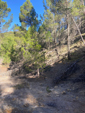 Barranco de la Tejera, Loma de la Cuna, Montalbán, Comarca Cuencas Mineras, Teruel 