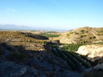 Doleritas de los Vives. Los Vives. Orihuela. Alicante