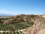   Doleritas de los Vives. Los Vives. Orihuela. Alicante