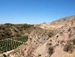   Doleritas de los Vives. Los Vives. Orihuela. Alicante