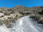 Doleritas de los Vives. Los Vives. Orihuela. Alicante