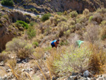 Doleritas de los Vives. Los Vives. Orihuela. Alicante