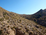   Doleritas de los Vives. Los Vives. Orihuela. Alicante