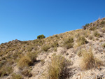   Doleritas de los Vives. Los Vives. Orihuela. Alicante