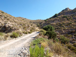   Doleritas de los Vives. Los Vives. Orihuela. Alicante