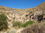   Doleritas de los Vives. Los Vives. Orihuela. Alicante