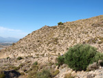   Doleritas de los Vives. Los Vives. Orihuela. Alicante