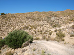   Doleritas de los Vives. Los Vives. Orihuela. Alicante