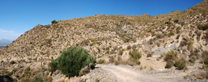 Doleritas de los Vives. Los Vives. Orihuela. Alicante