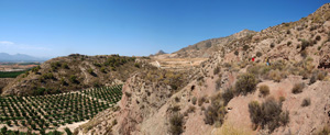 Doleritas de los Vives. Los Vives. Orihuela. Alicante