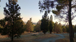 Cerro de los Ángeles. Getafe. Madrid